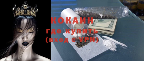 прущие грибы Бородино