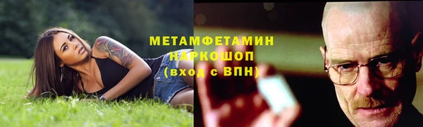 прущие грибы Бородино