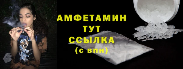 прущие грибы Бородино