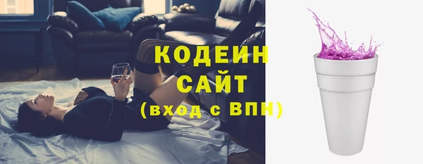 прущие грибы Бородино
