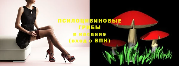 прущие грибы Бородино