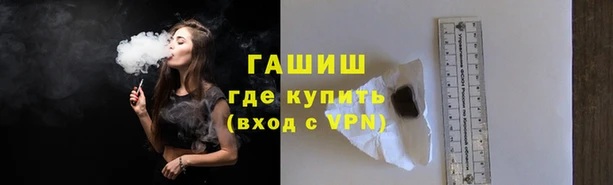 прущие грибы Бородино