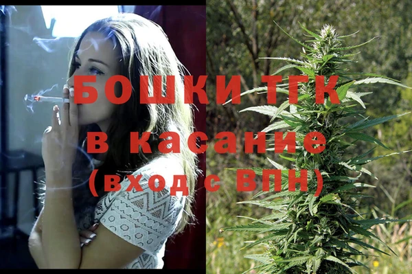 прущие грибы Бородино
