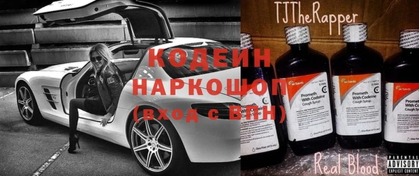 прущие грибы Бородино