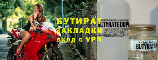 прущие грибы Бородино
