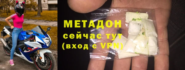 прущие грибы Бородино