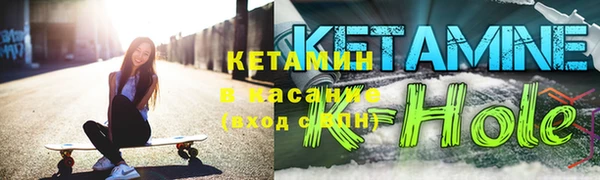 прущие грибы Бородино