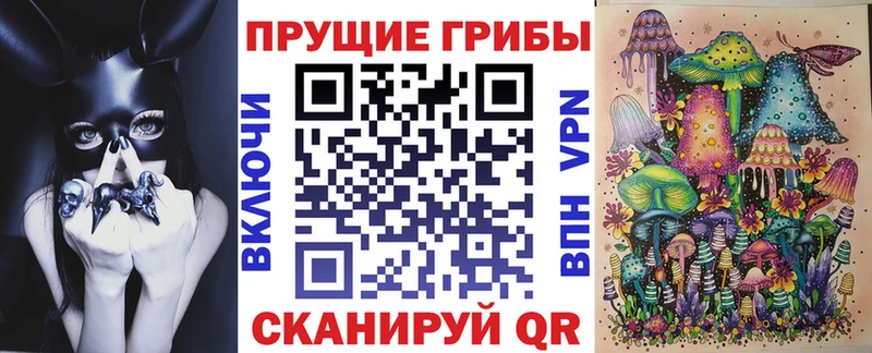 Купить закладки Снежинск Галлюциногенные грибы Psilocybine cubensis